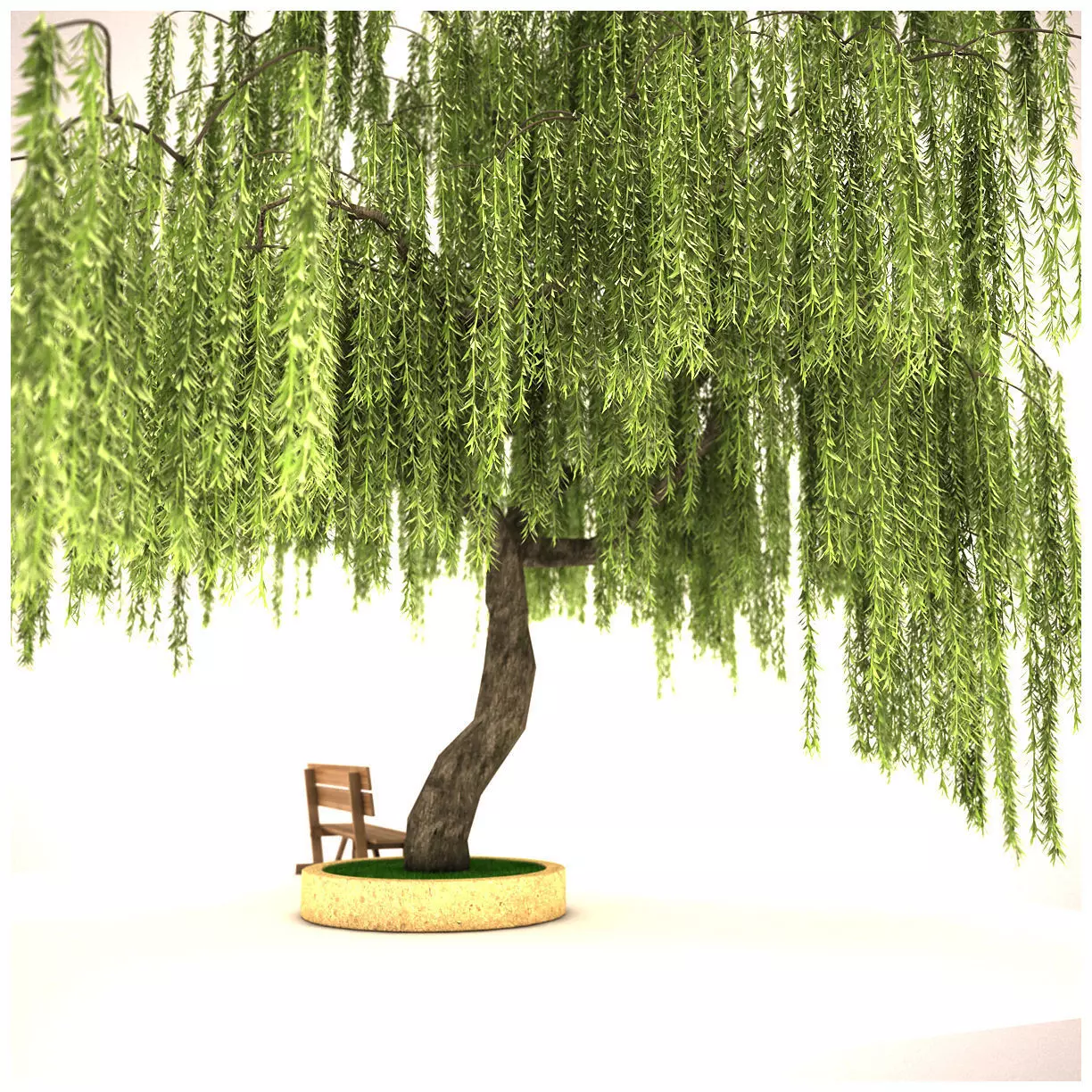 big tree 3D model_0