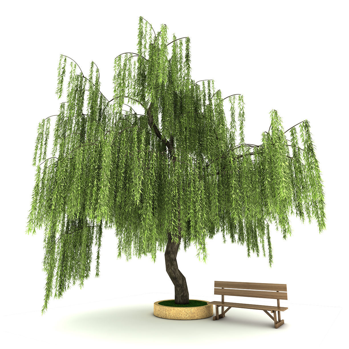 big tree 3D model_1
