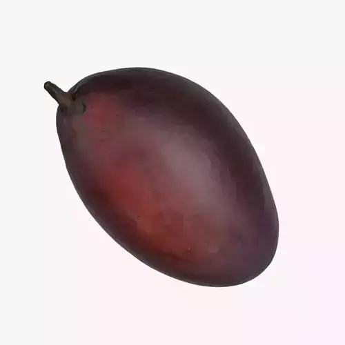 Mango Photoscan