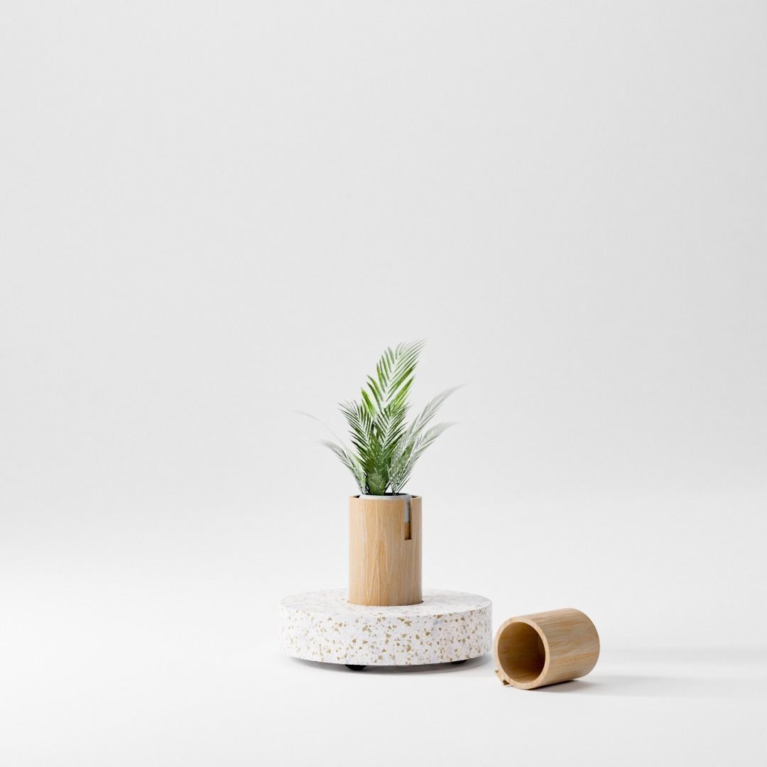 Plant Bamboo Rack 3D model rigged | CGTrader