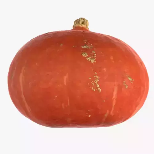 Small Pumpkin Photoscan