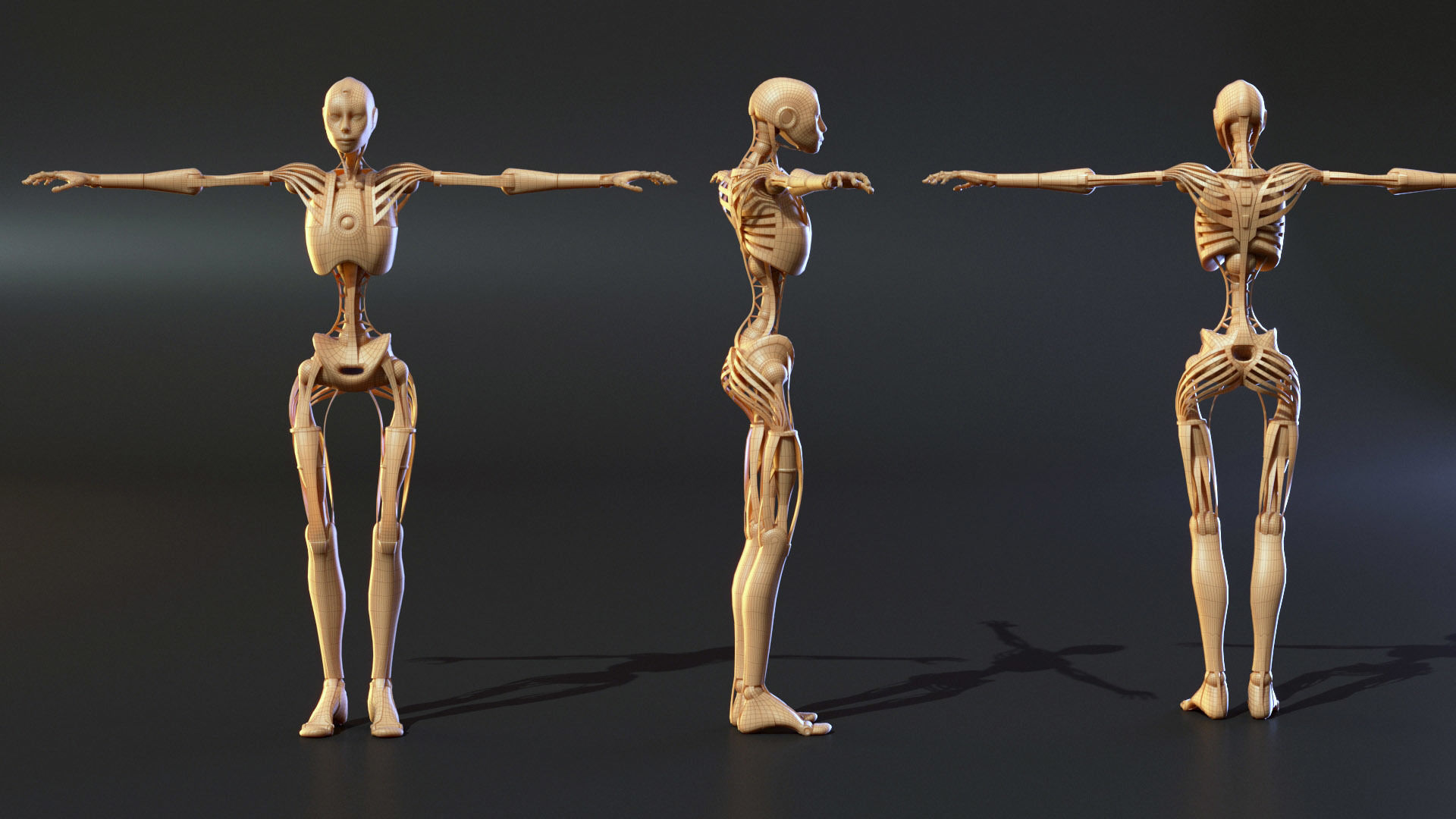 Animated Robot 3D model_5