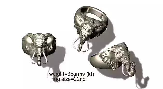 Elephant Ring 