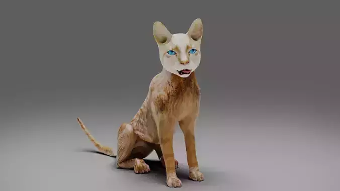 Cat White Rigged in Blender 