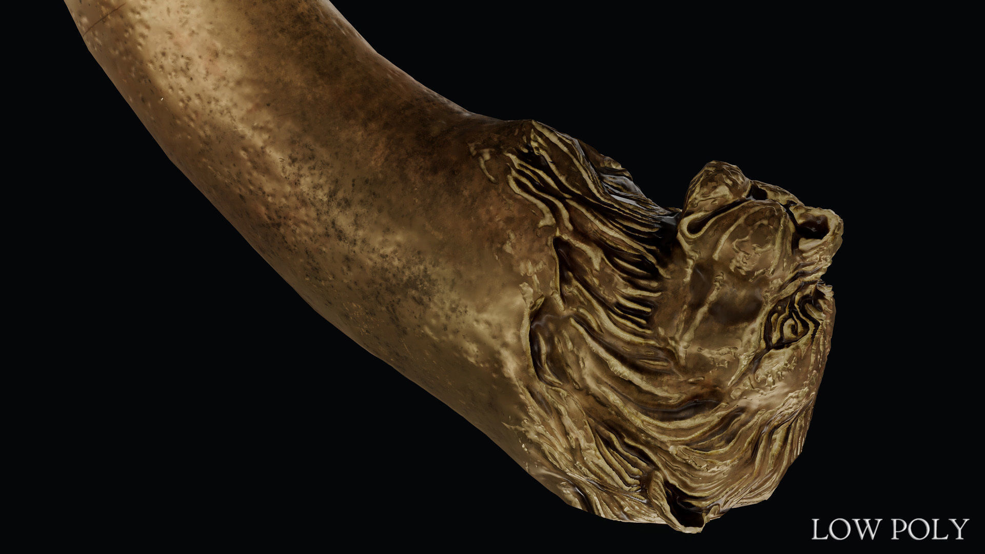 Sword of Alexander the Great Low-poly 3D model_72