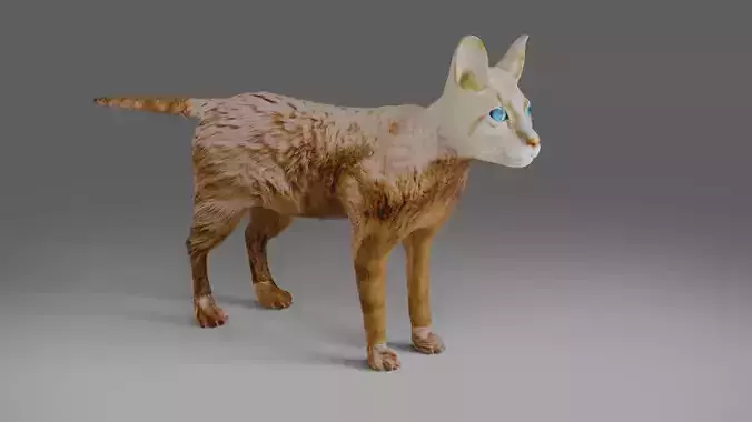 Cat White NO Rigged in Blender 