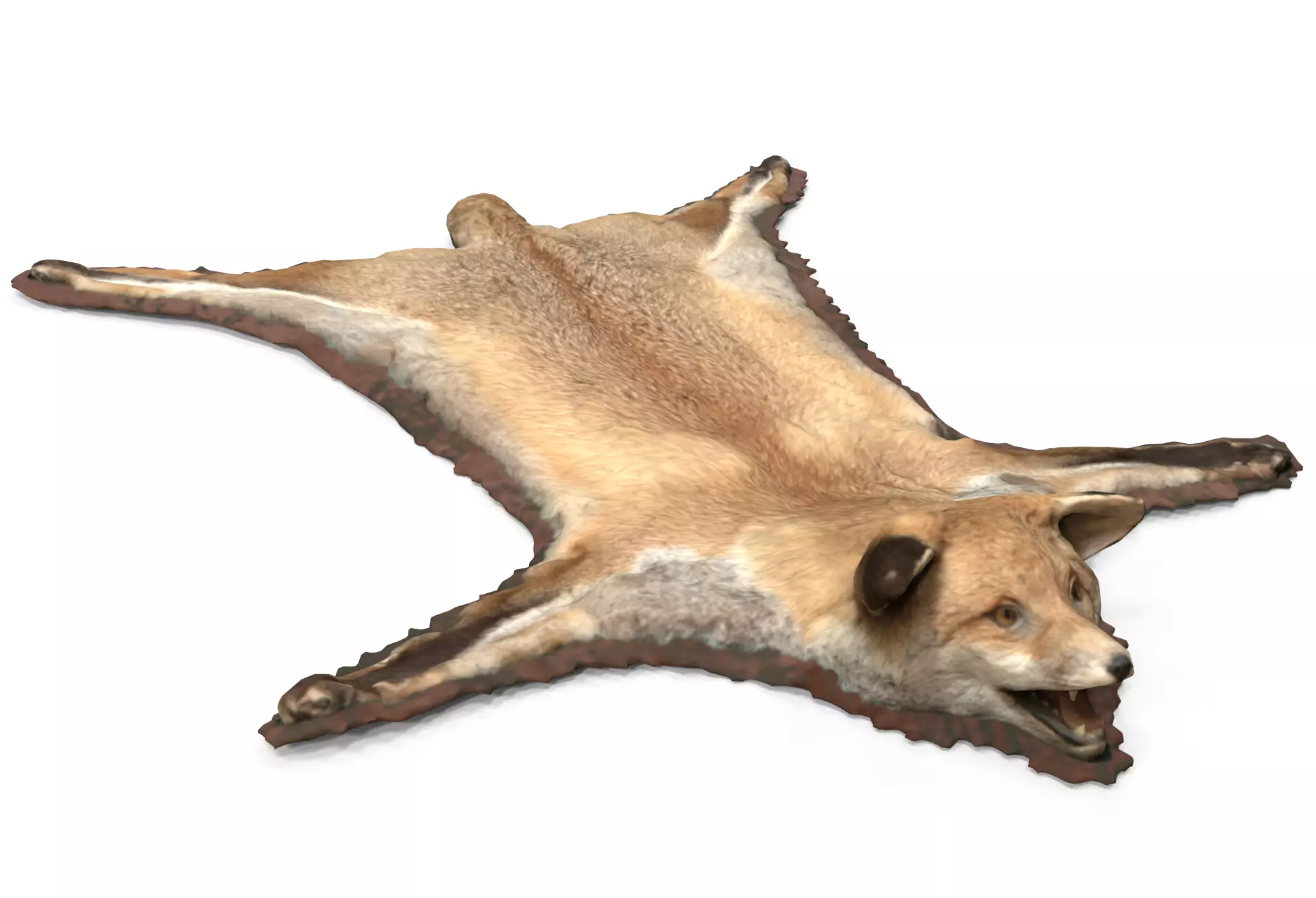 CARPET FOX 3D model