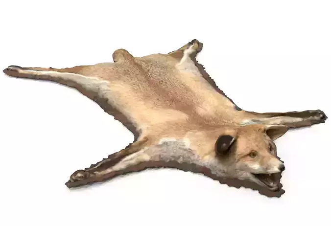 CARPET FOX 3D model