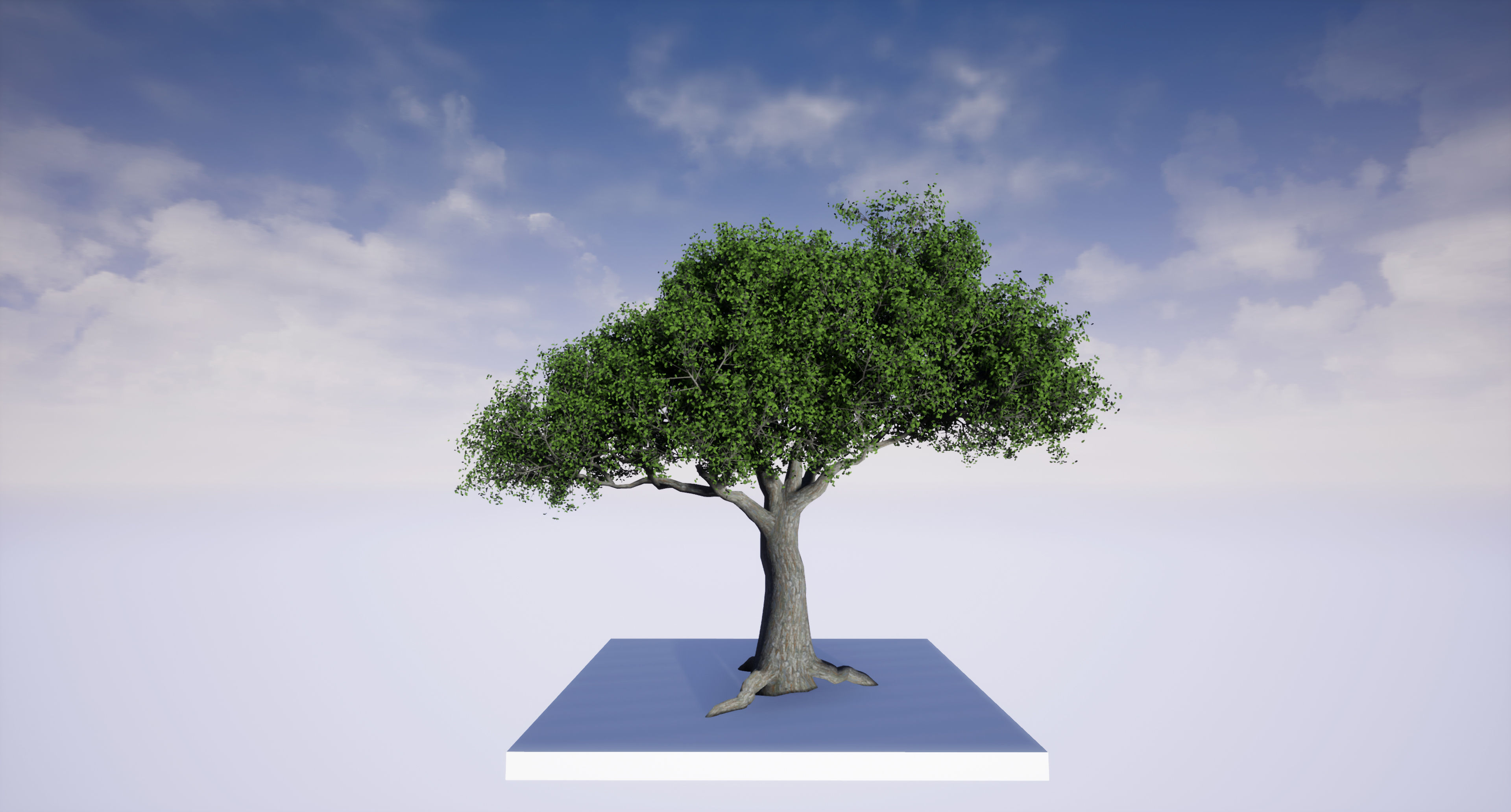 Tree 3d Model Low-poly 3D model_2