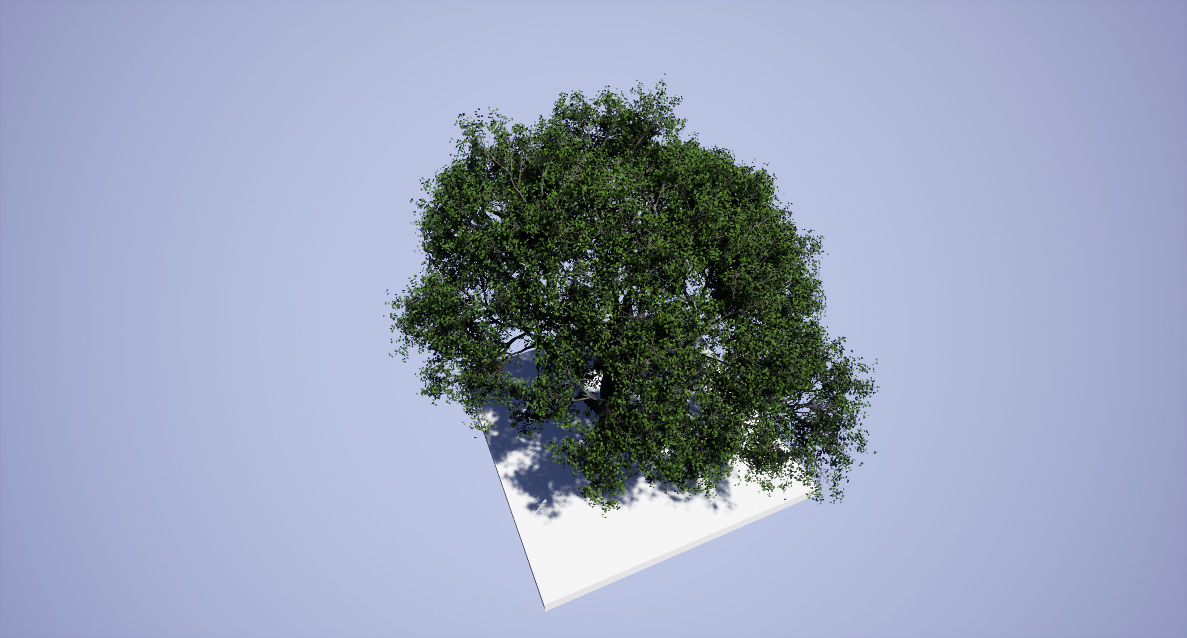 Tree 3d Model Low-poly 3D model_6