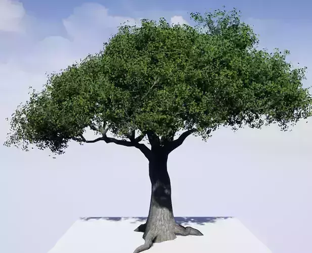 Tree 3d Model Low-poly 3D model Tree 3d Model Low-poly 3D model