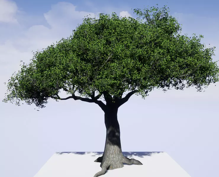 Tree 3d Model Low-poly 3D model_0