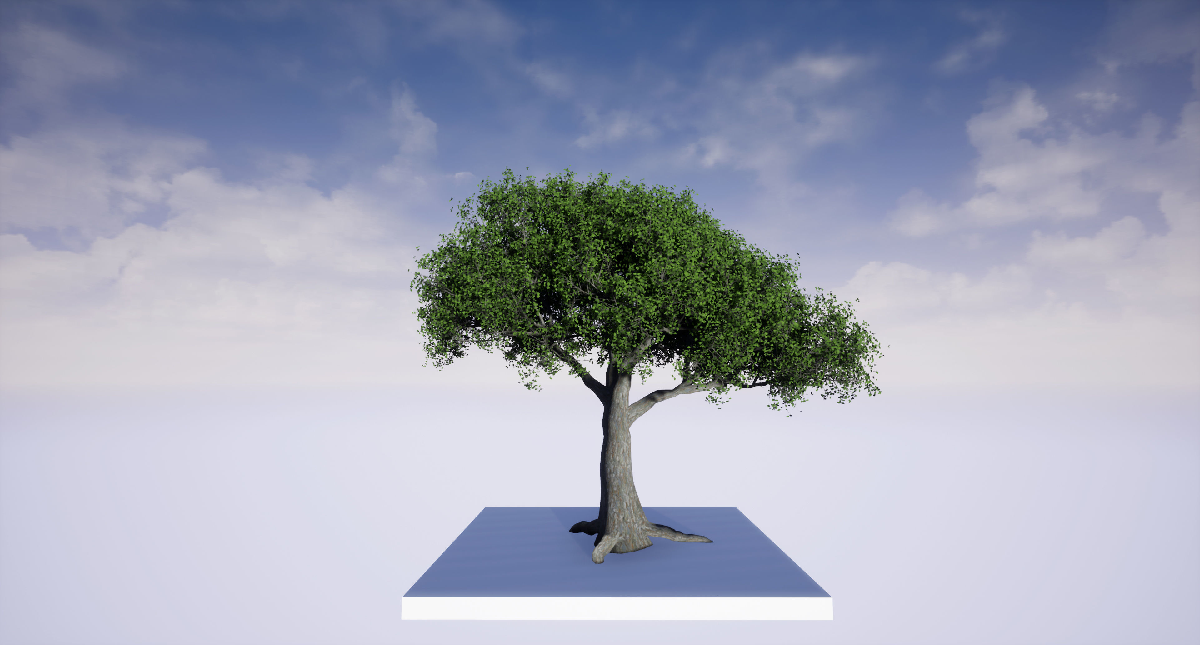 Tree 3d Model Low-poly 3D model_4
