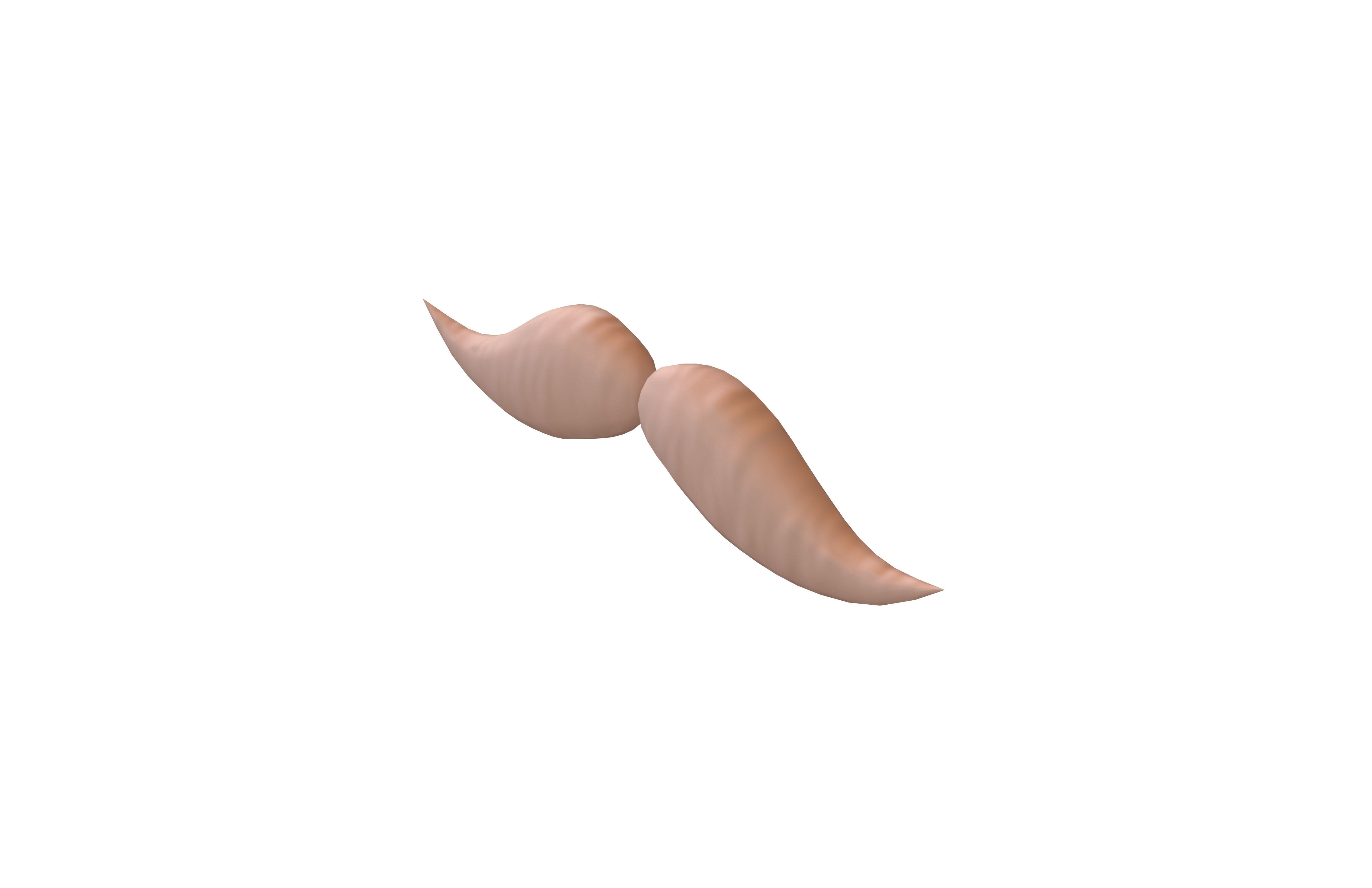 Cartoon Mustache v4 004 Low-poly 3D model_2