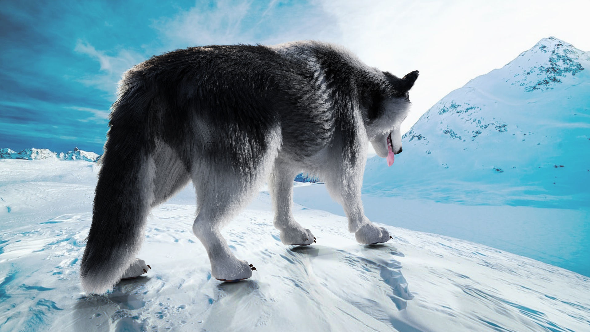 Fur Husky Rigged in Blender Low-poly 3D model_3