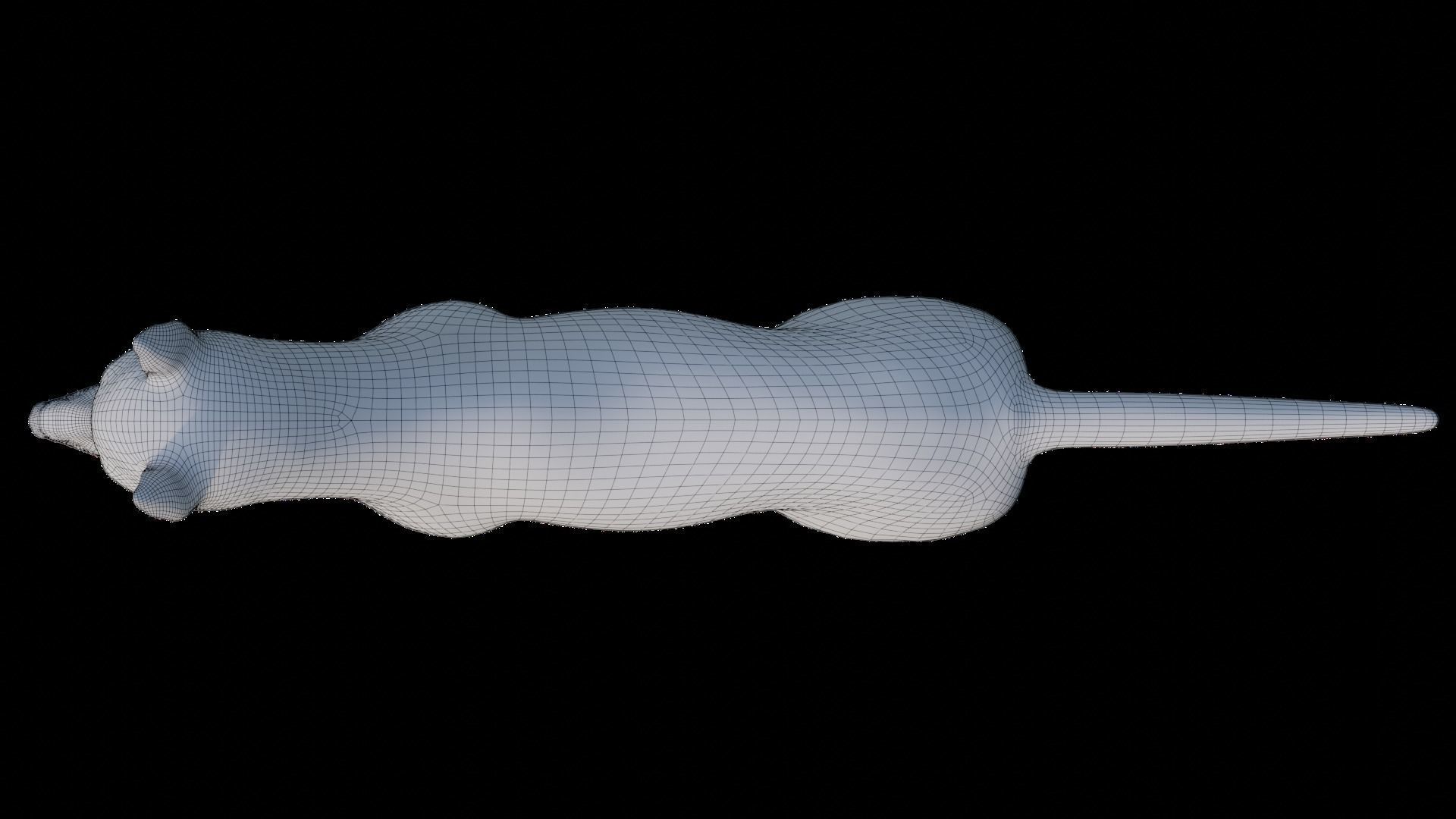 Fur Husky Rigged in Blender Low-poly 3D model_35