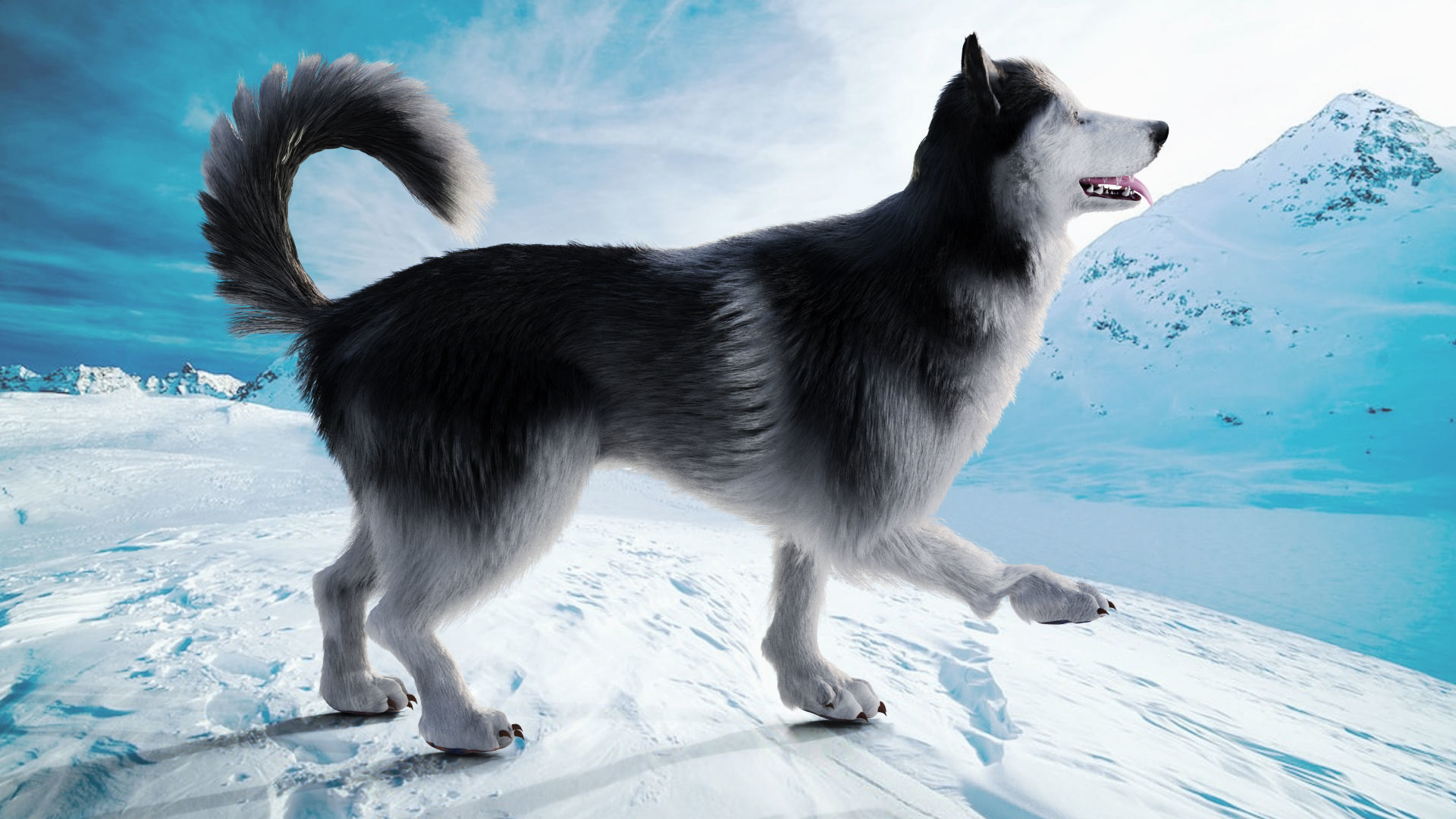 Fur Husky Rigged in Blender Low-poly 3D model_4