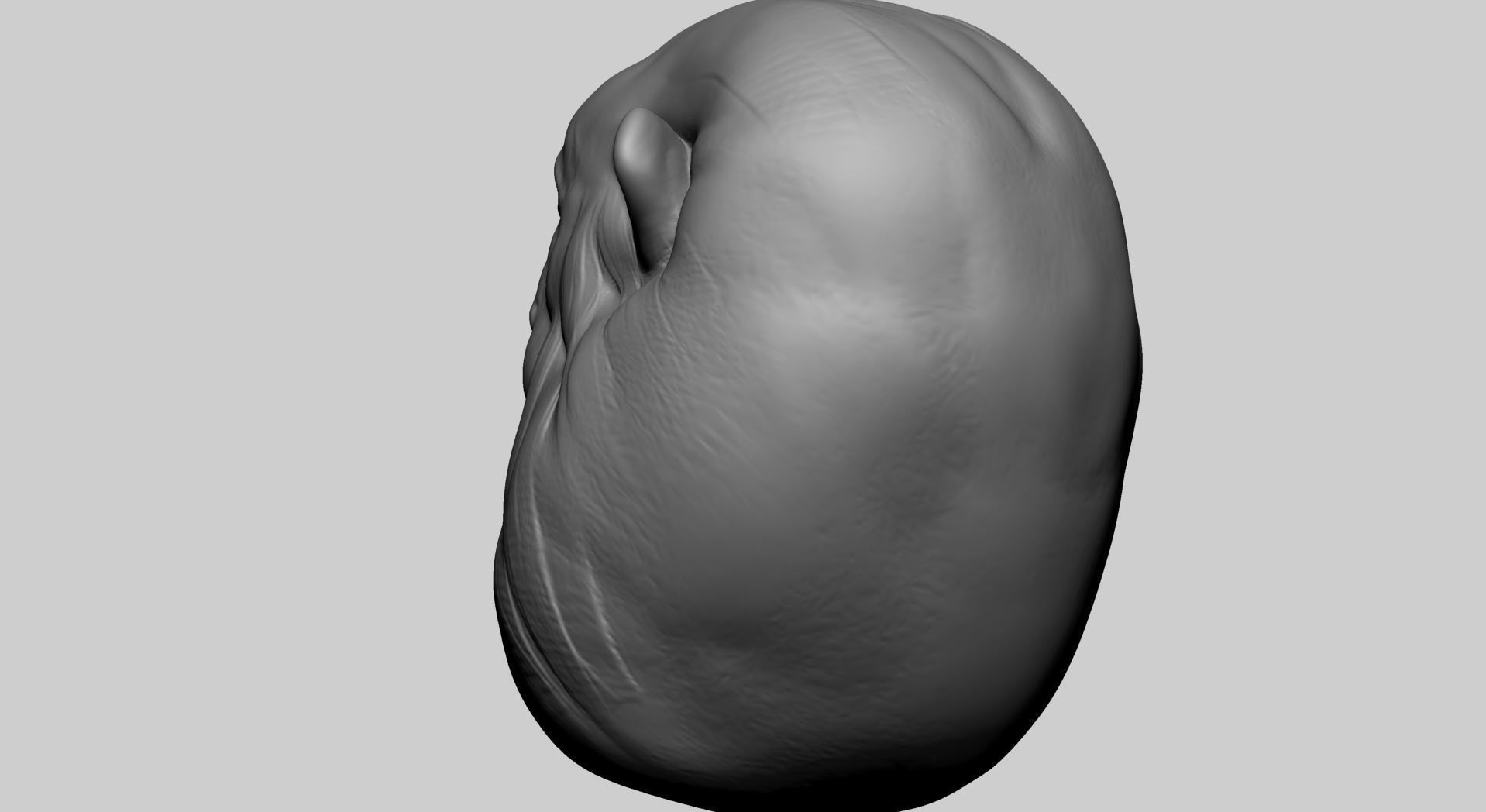 Creature Head R 3D model_4