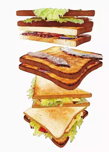 Sandwhich Pack 3D model 4