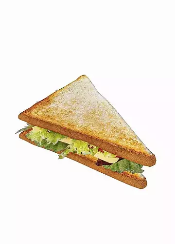 Sandwhich Pack 3D model 7