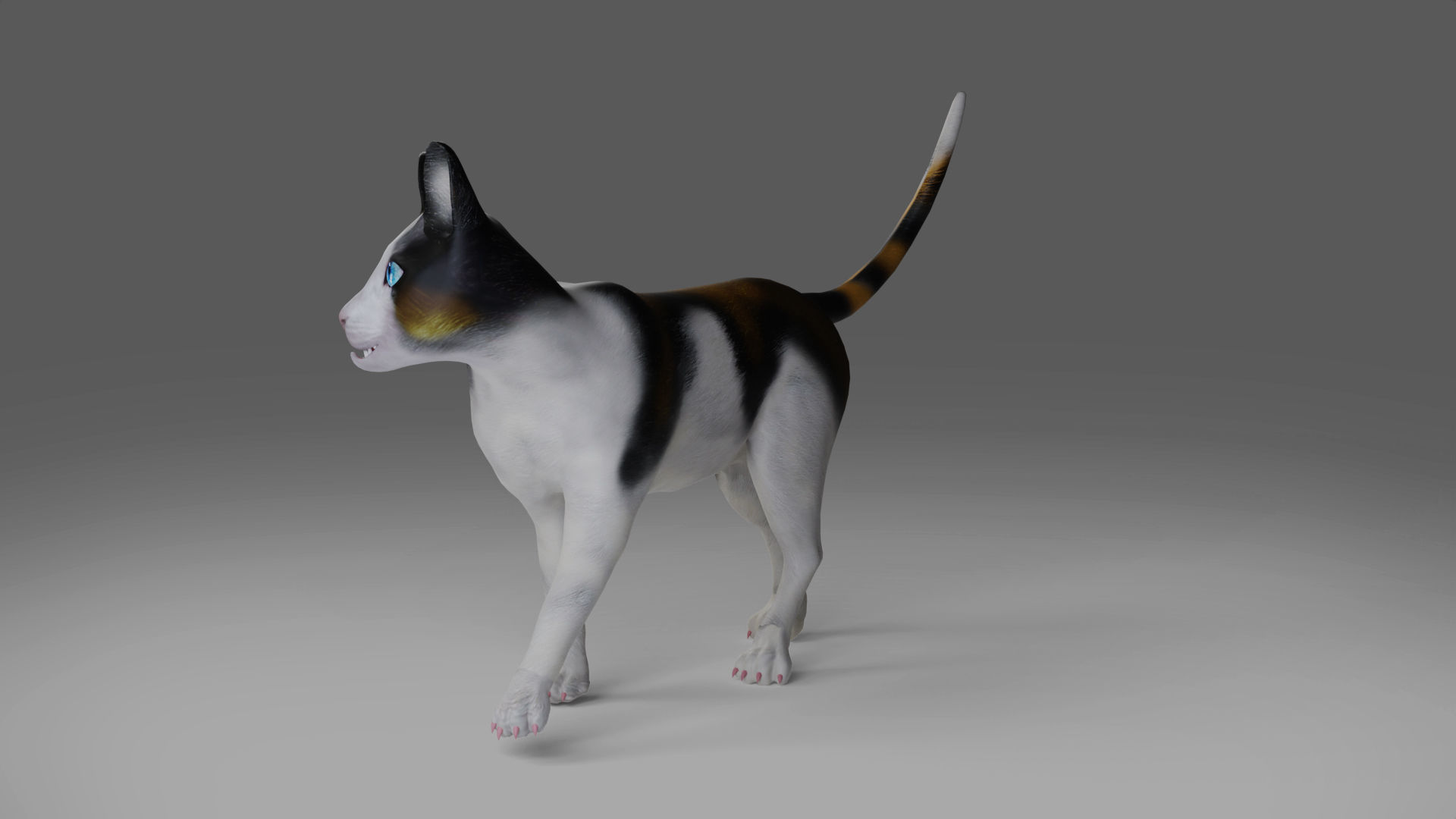 Calico Cat rigged and animated Low-poly 3D model_3