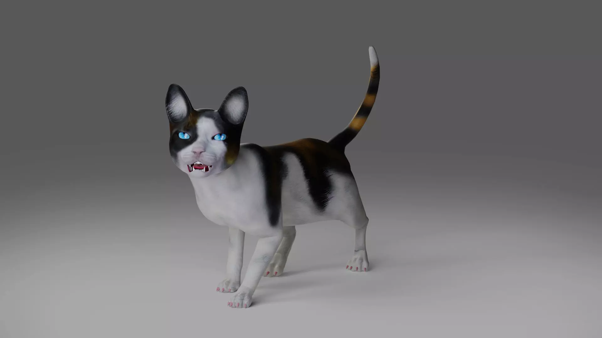 Calico Cat rigged and animated Low-poly 3D model_0