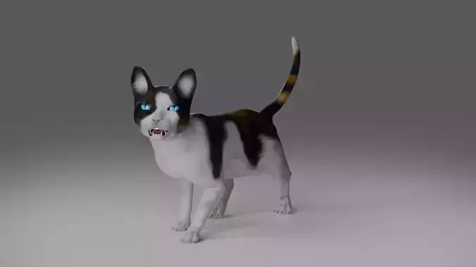Calico Cat rigged and animated 