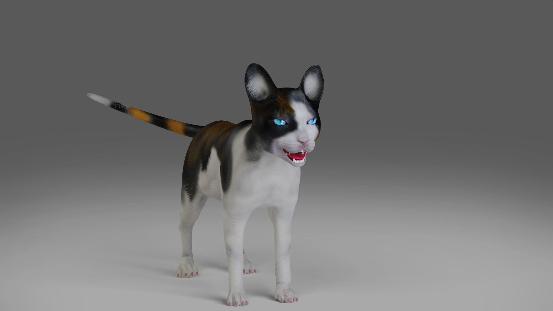 Calico Cat rigged and animated Low-poly 3D model_5