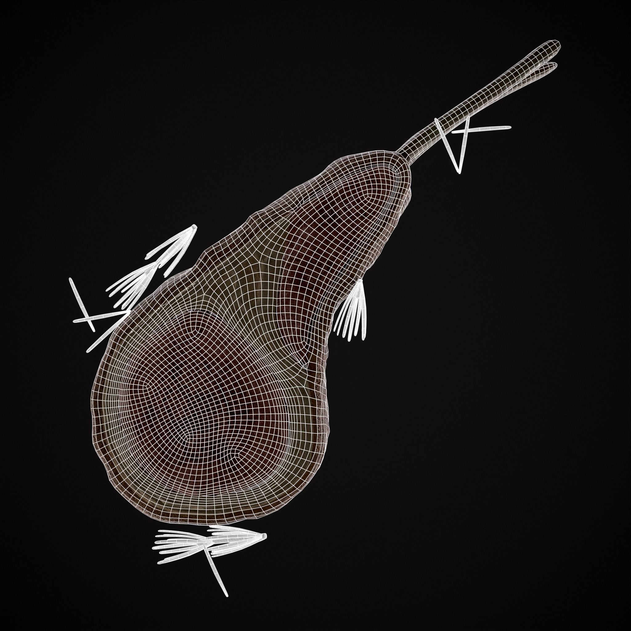 Breaded Rack of Lamb with Rosemary Low-poly 3D model_16