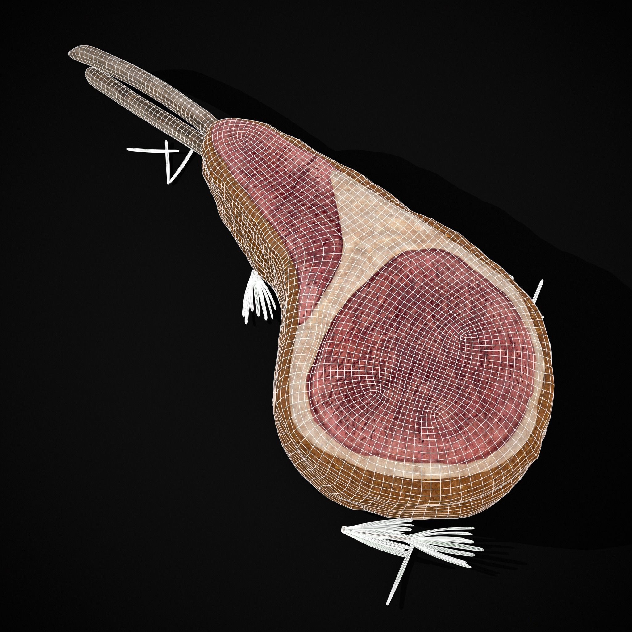 Breaded Rack of Lamb with Rosemary Low-poly 3D model_24