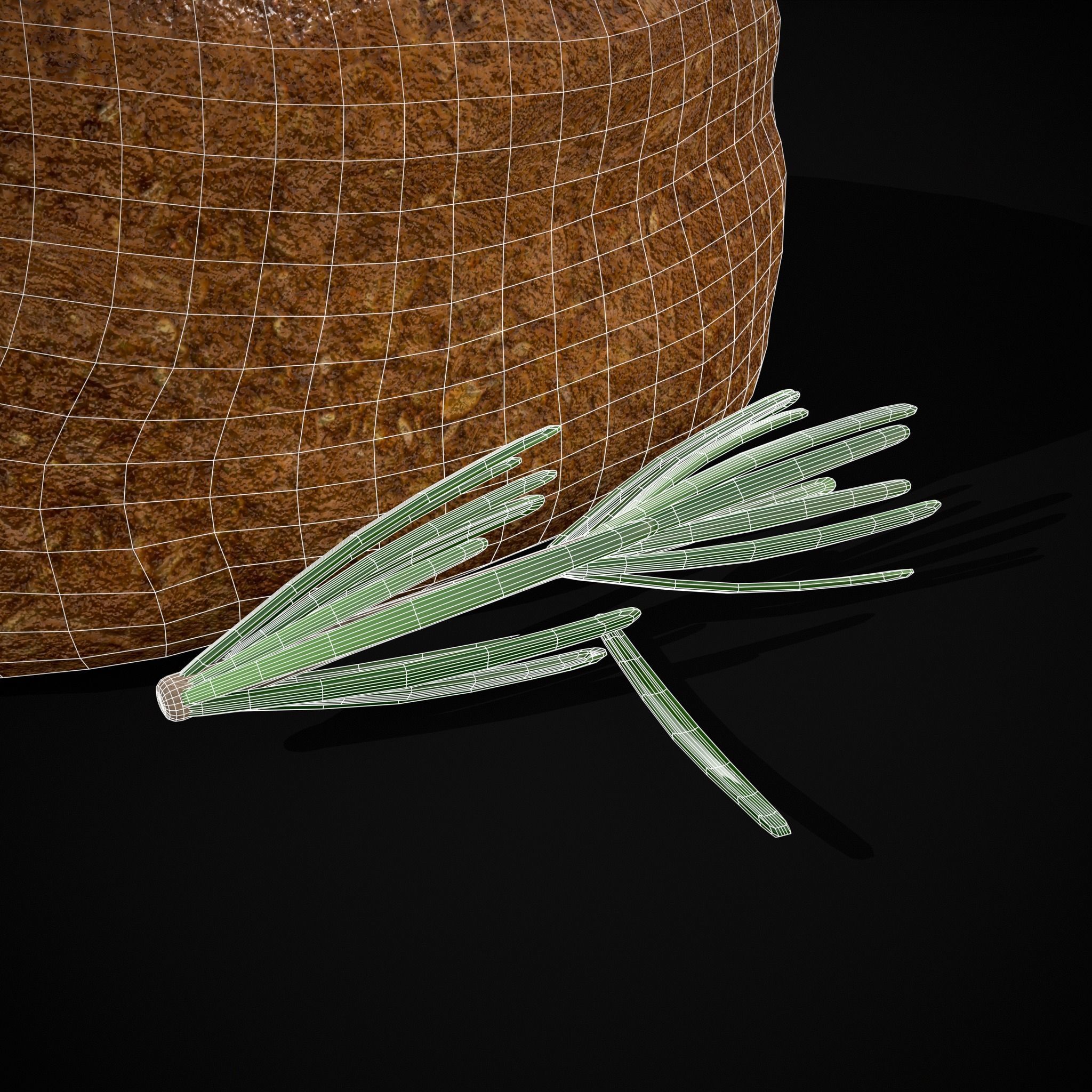 Breaded Rack of Lamb with Rosemary Low-poly 3D model_10