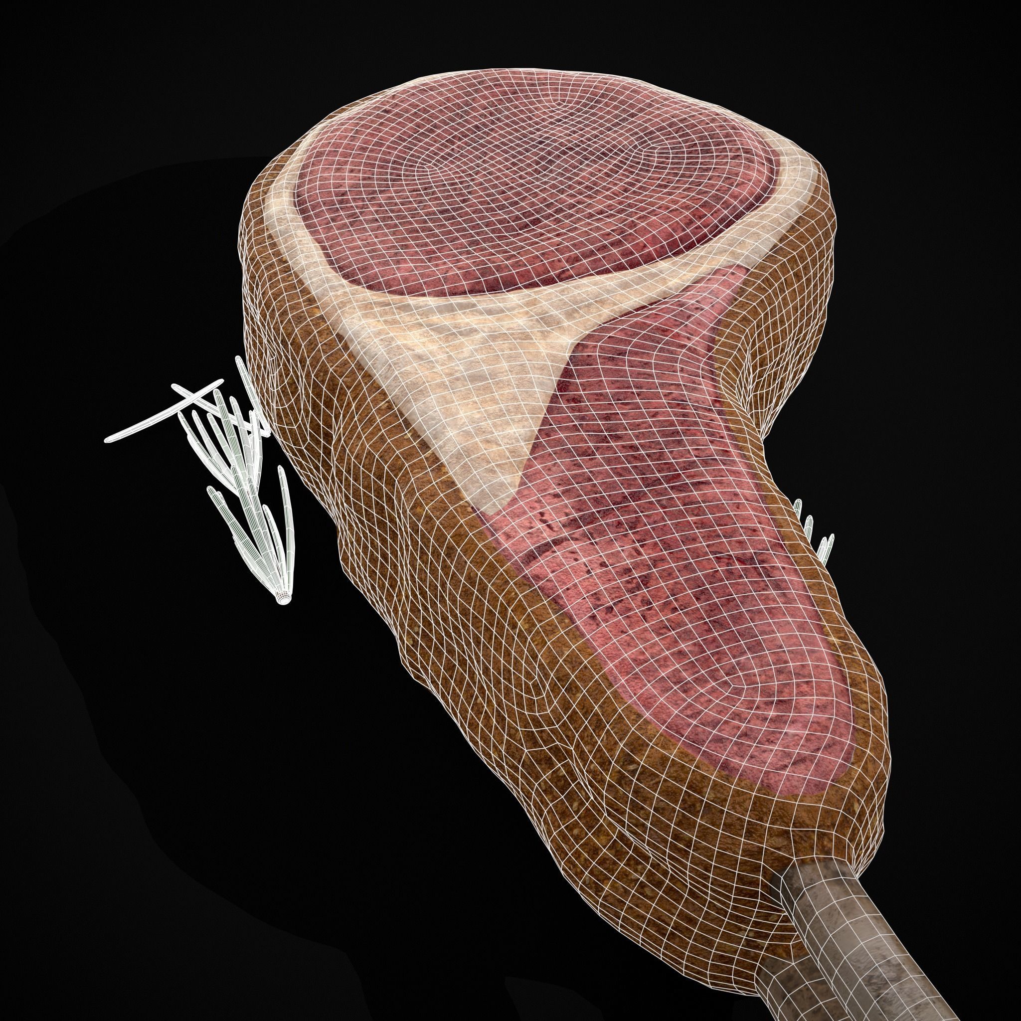 Breaded Rack of Lamb with Rosemary Low-poly 3D model_20