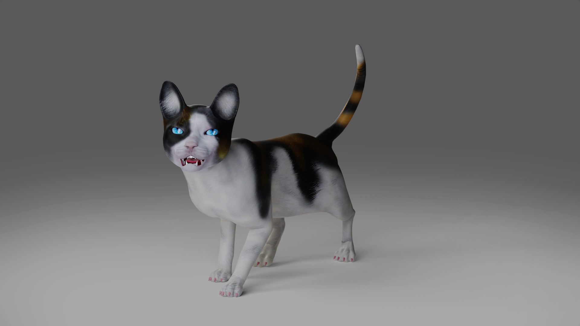 Calico Cat Rigged in Blender Low-poly 3D model_2