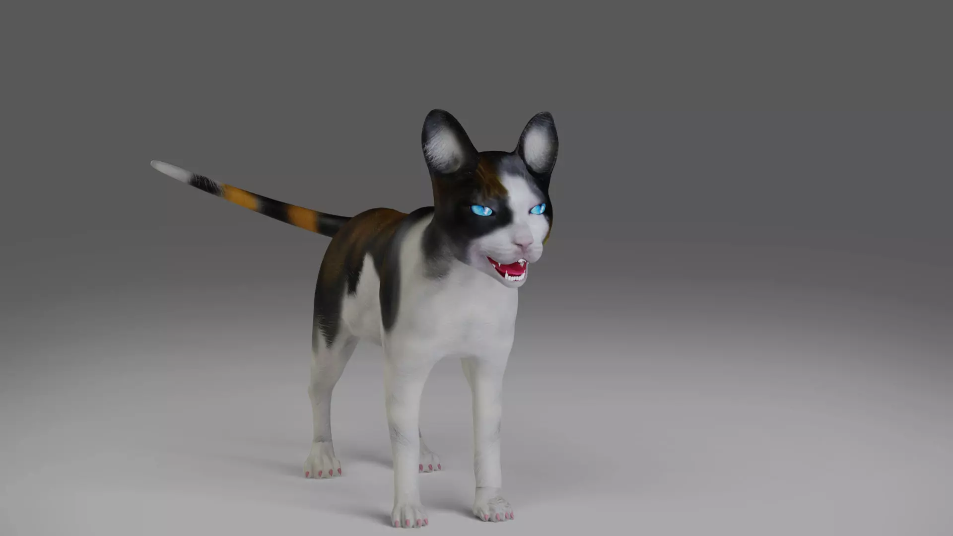Calico Cat Rigged in Blender Low-poly 3D model_0