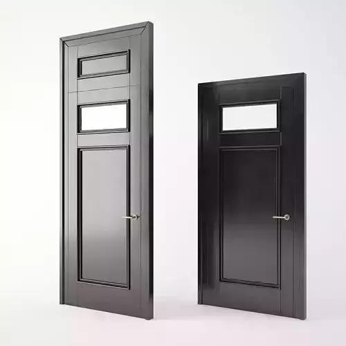 Modern door