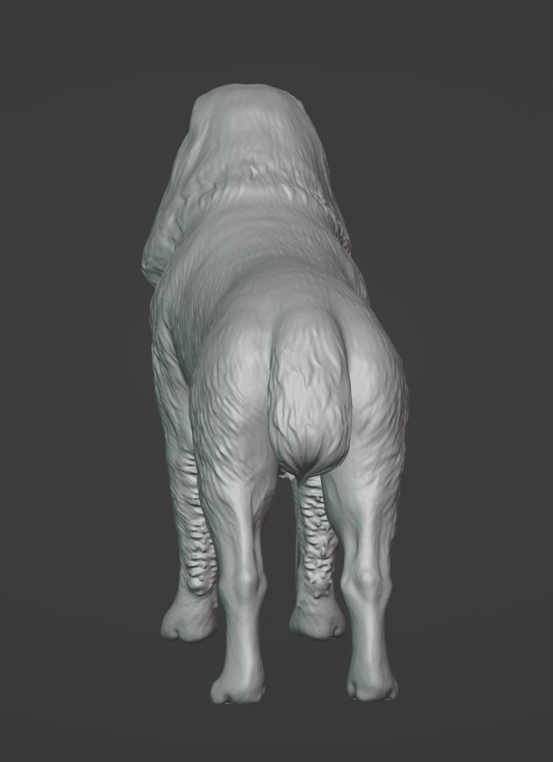 Kangal 3D model_4