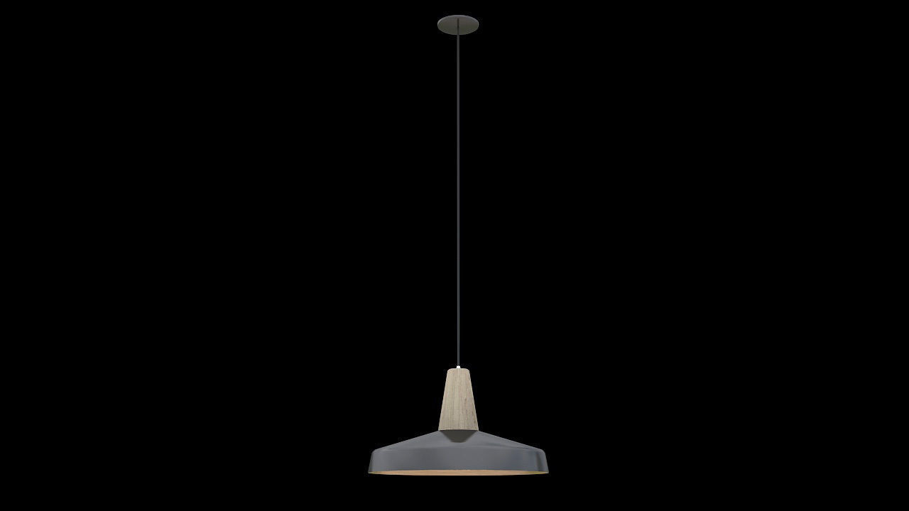 Black industrial copper lamp 3D model_1