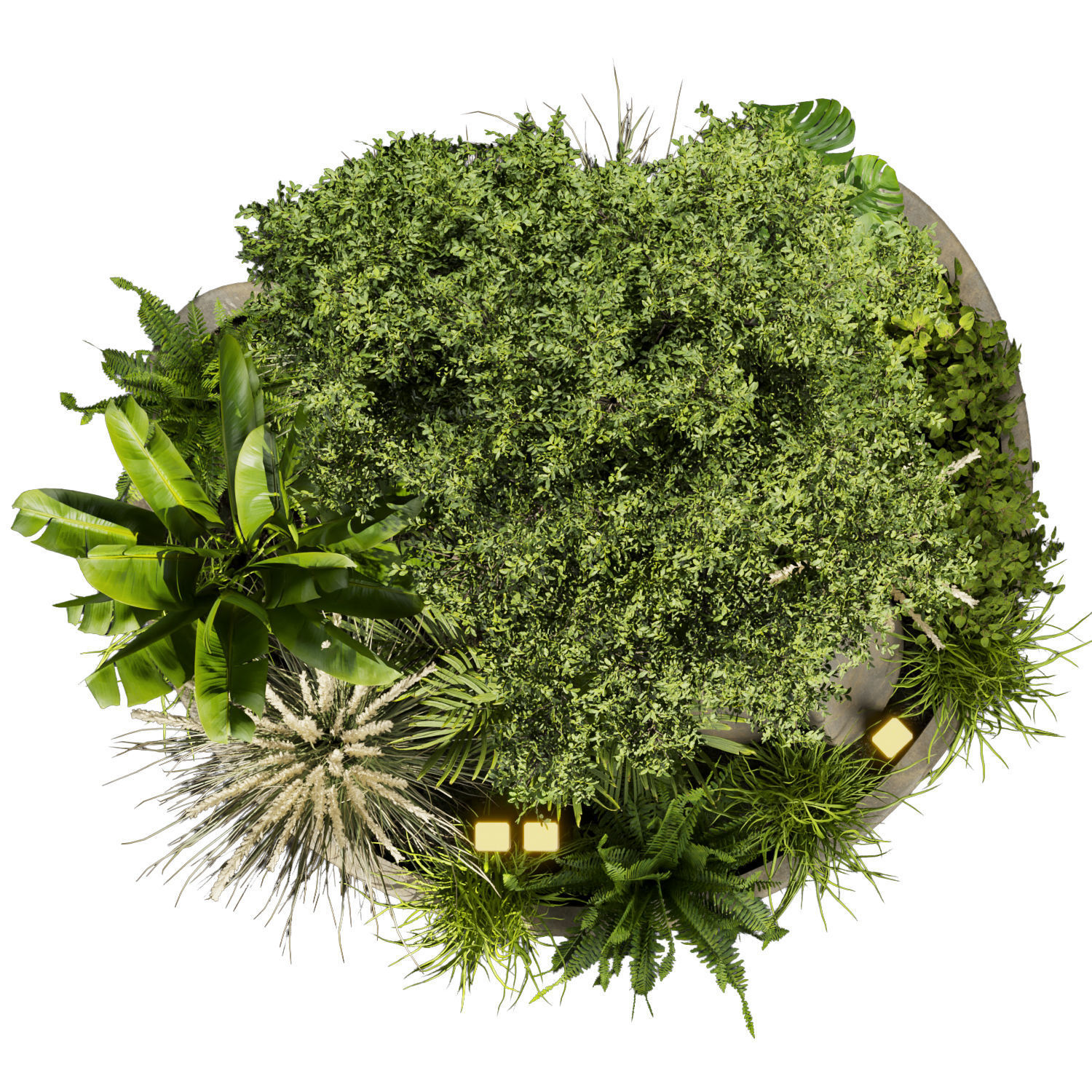 Collection plant vol 418 - leaf - outdoor - garden 3D model_4