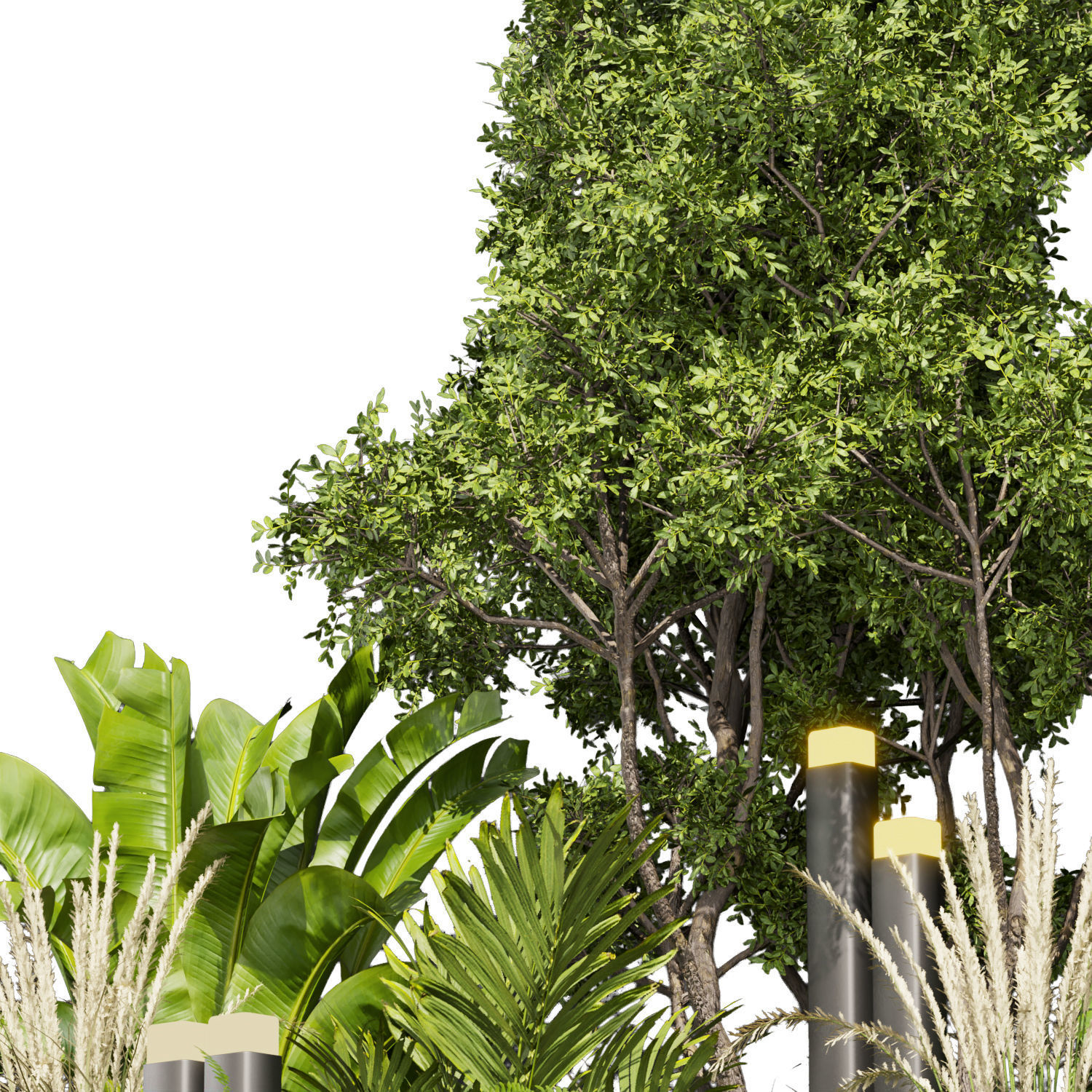 Collection plant vol 418 - leaf - outdoor - garden 3D model_3