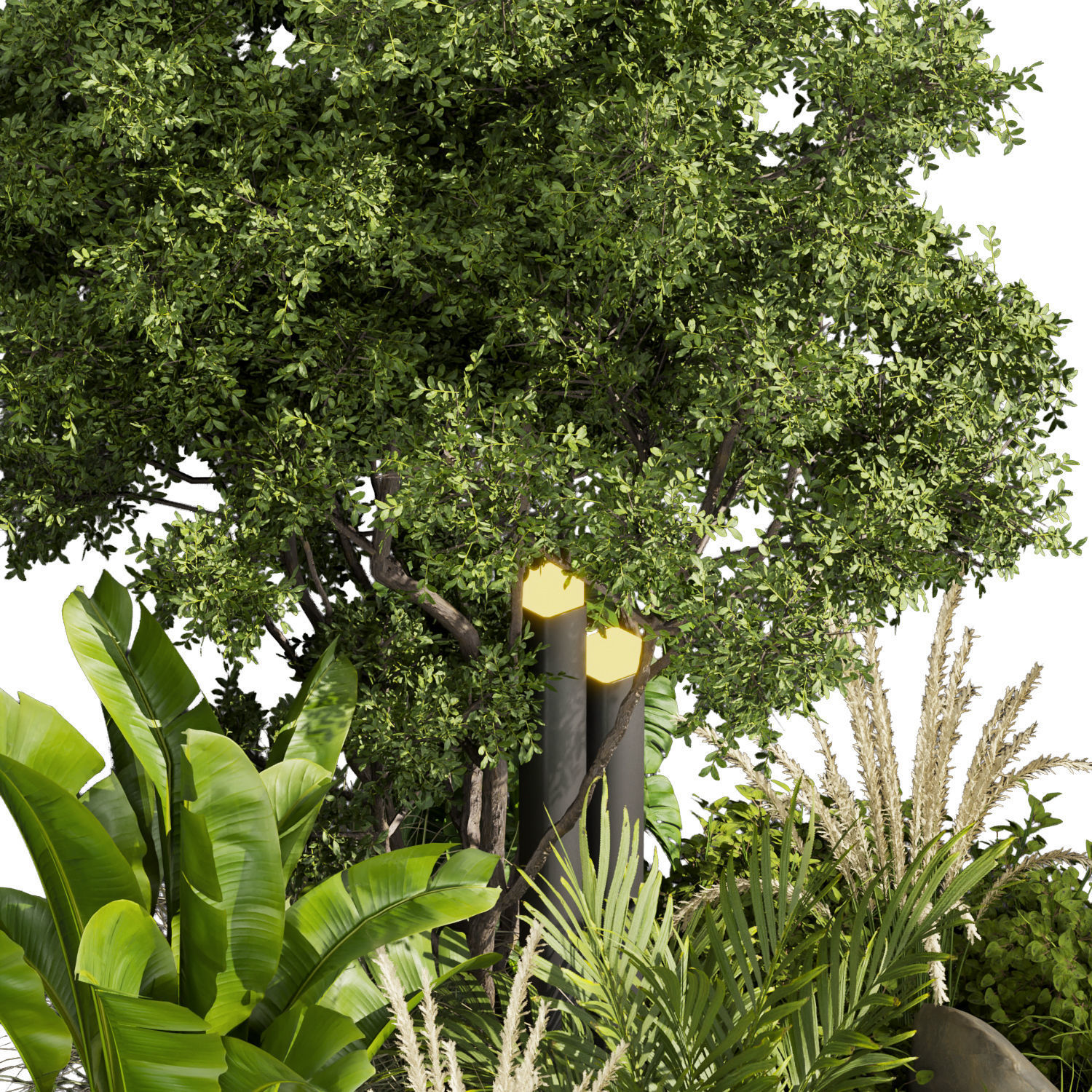 Collection plant vol 418 - leaf - outdoor - garden 3D model_1