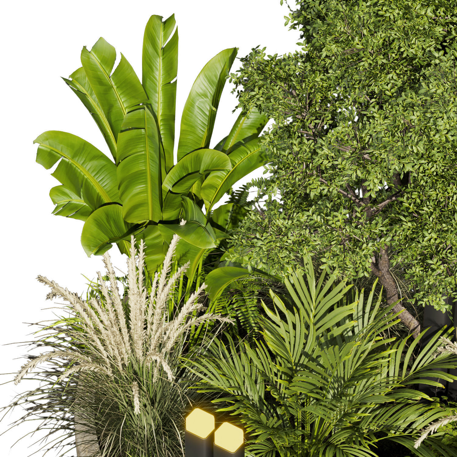 Collection plant vol 418 - leaf - outdoor - garden 3D model_2