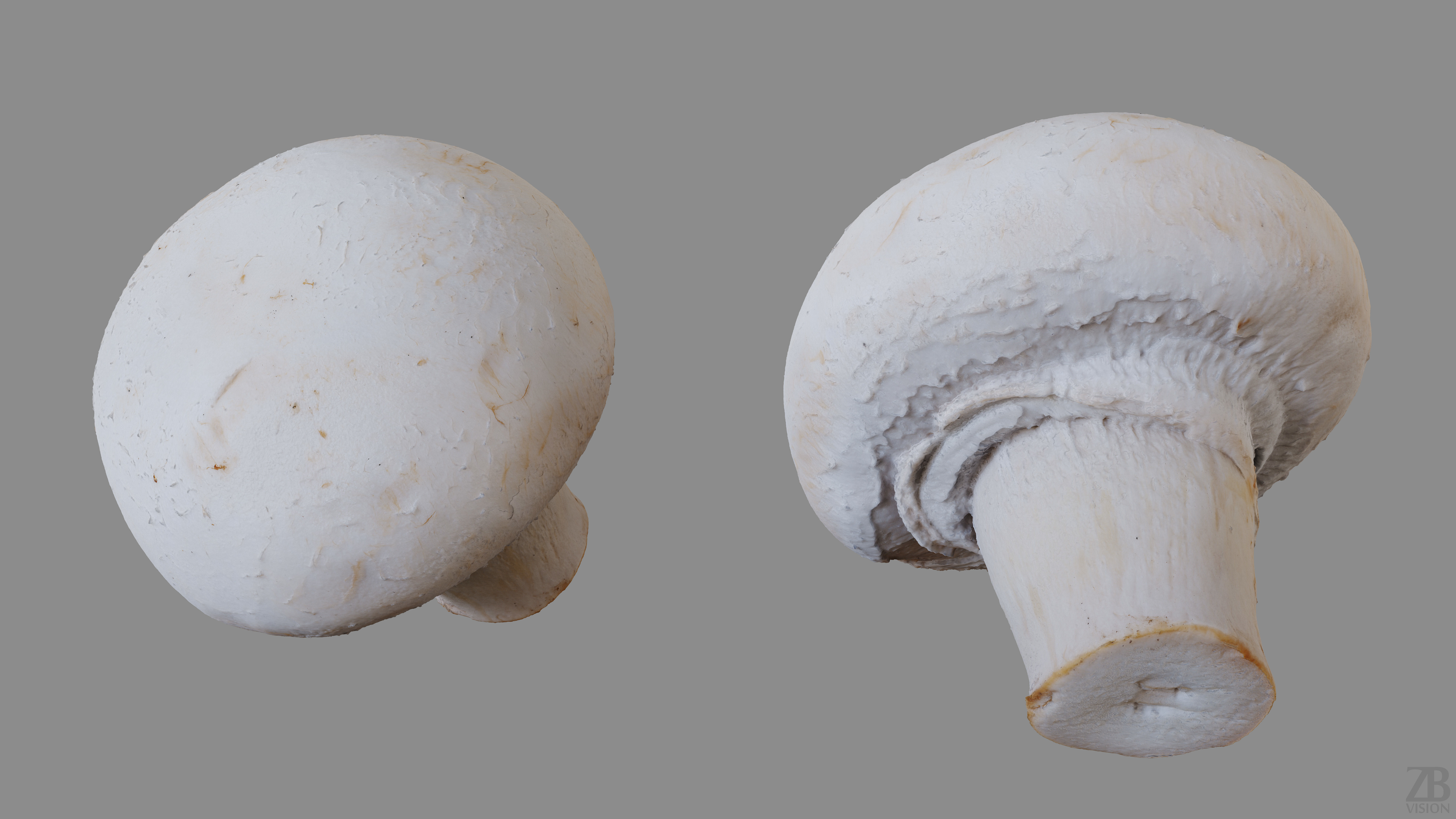 Mushroom 3D model_9