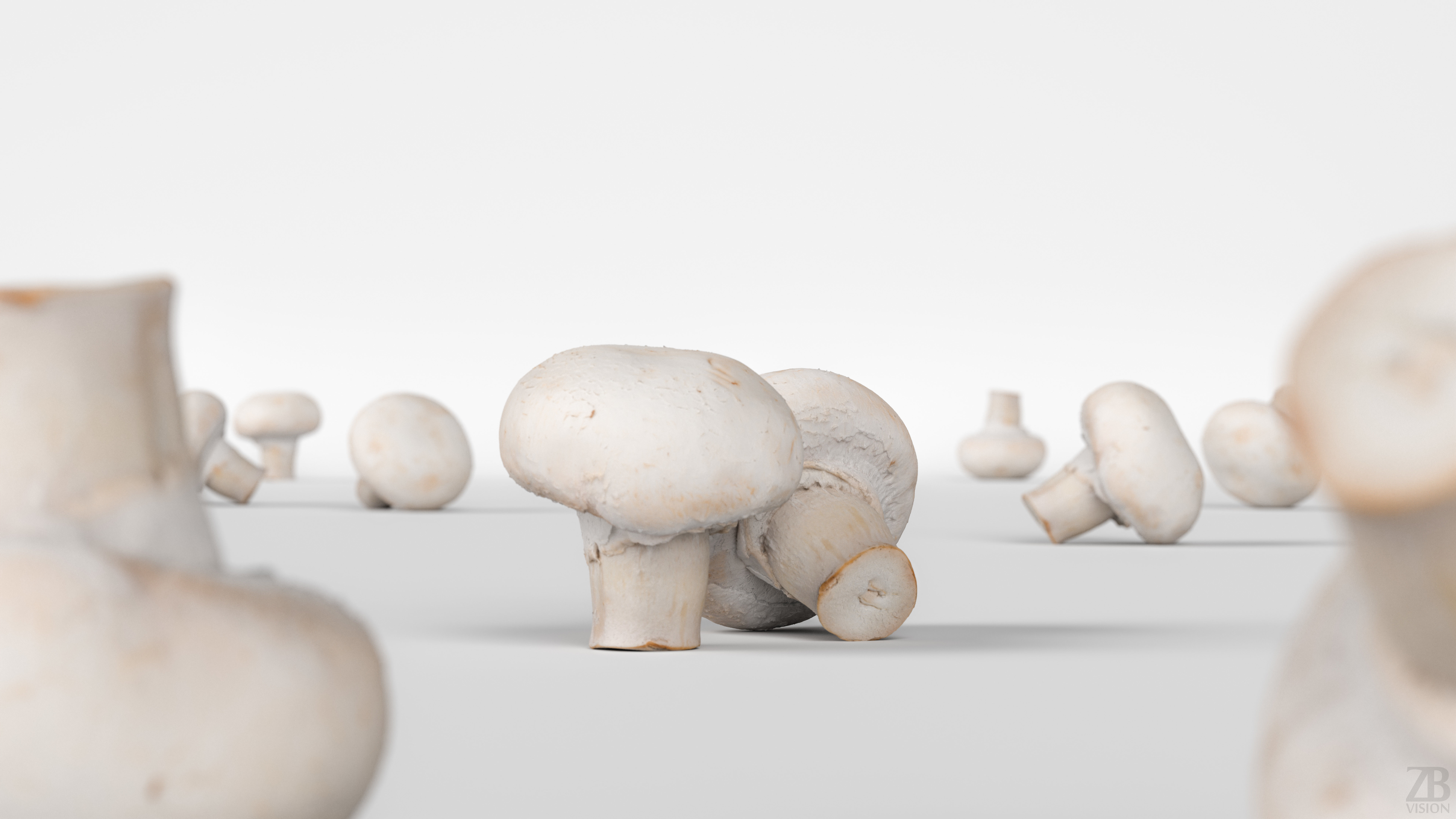 Mushroom 3D model_1