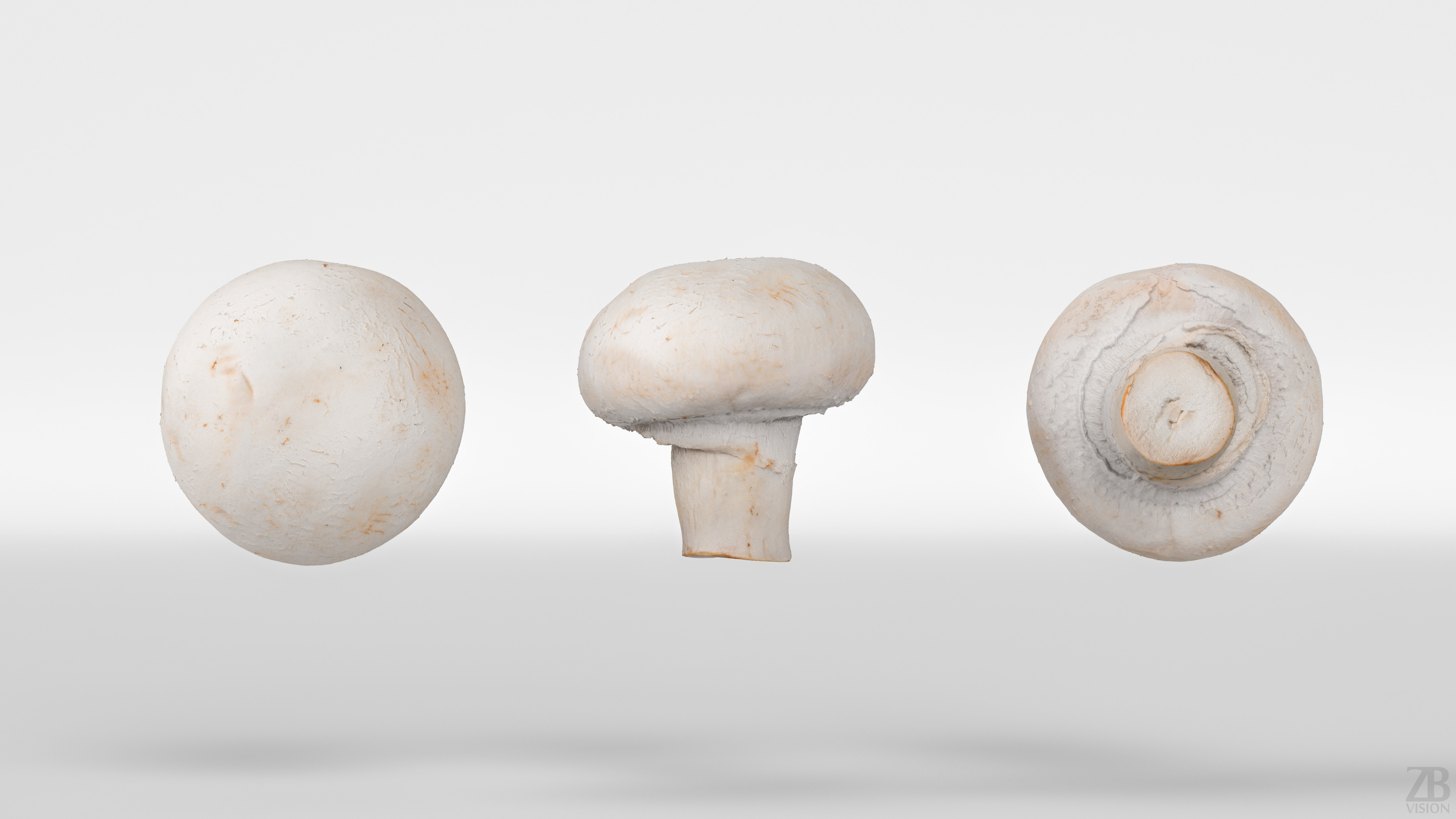 Mushroom 3D model_4