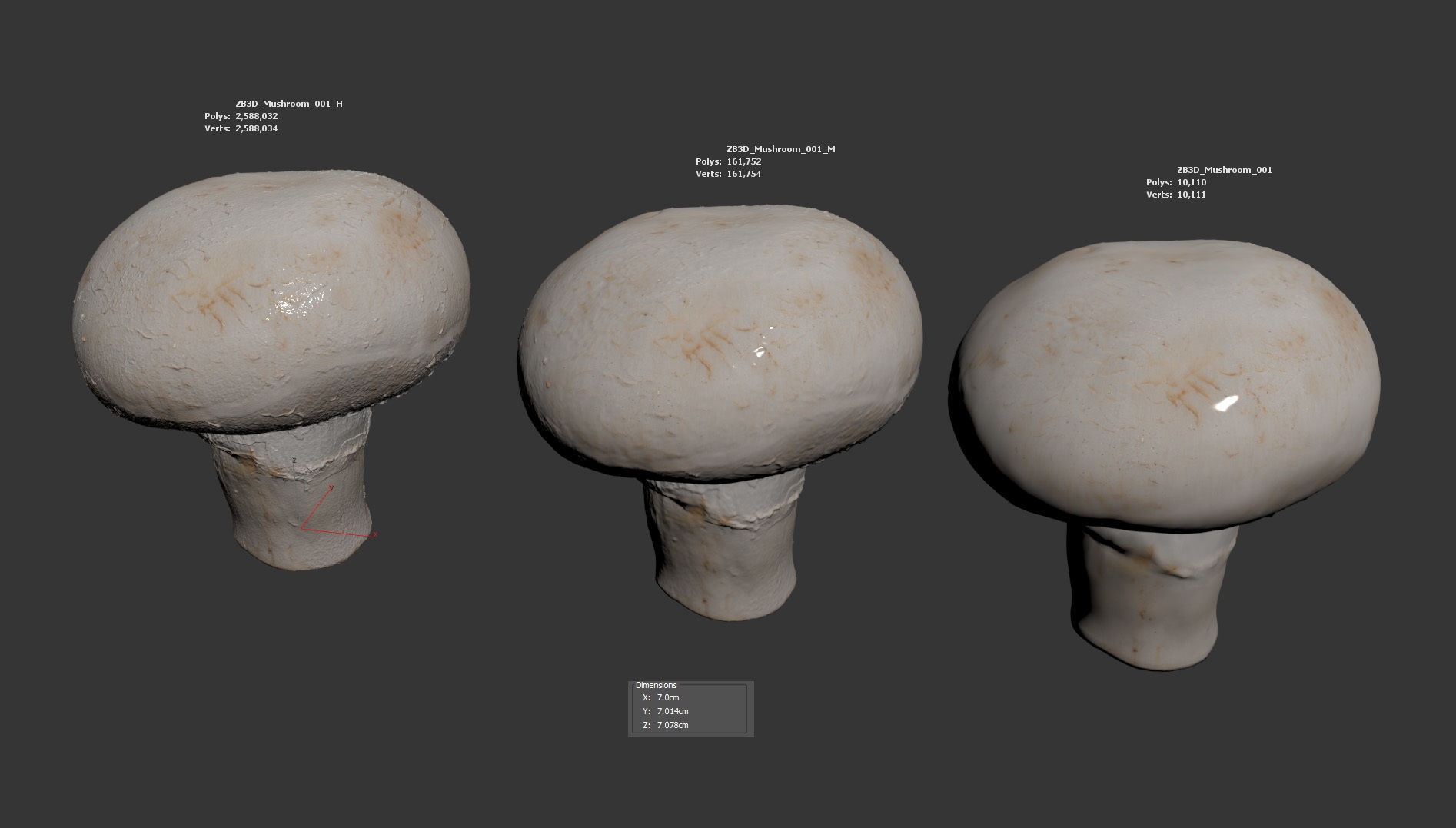 Mushroom 3D model_5