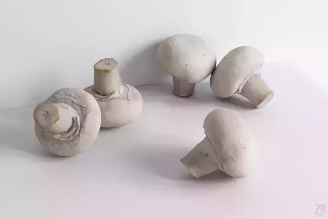 Mushroom 3D model