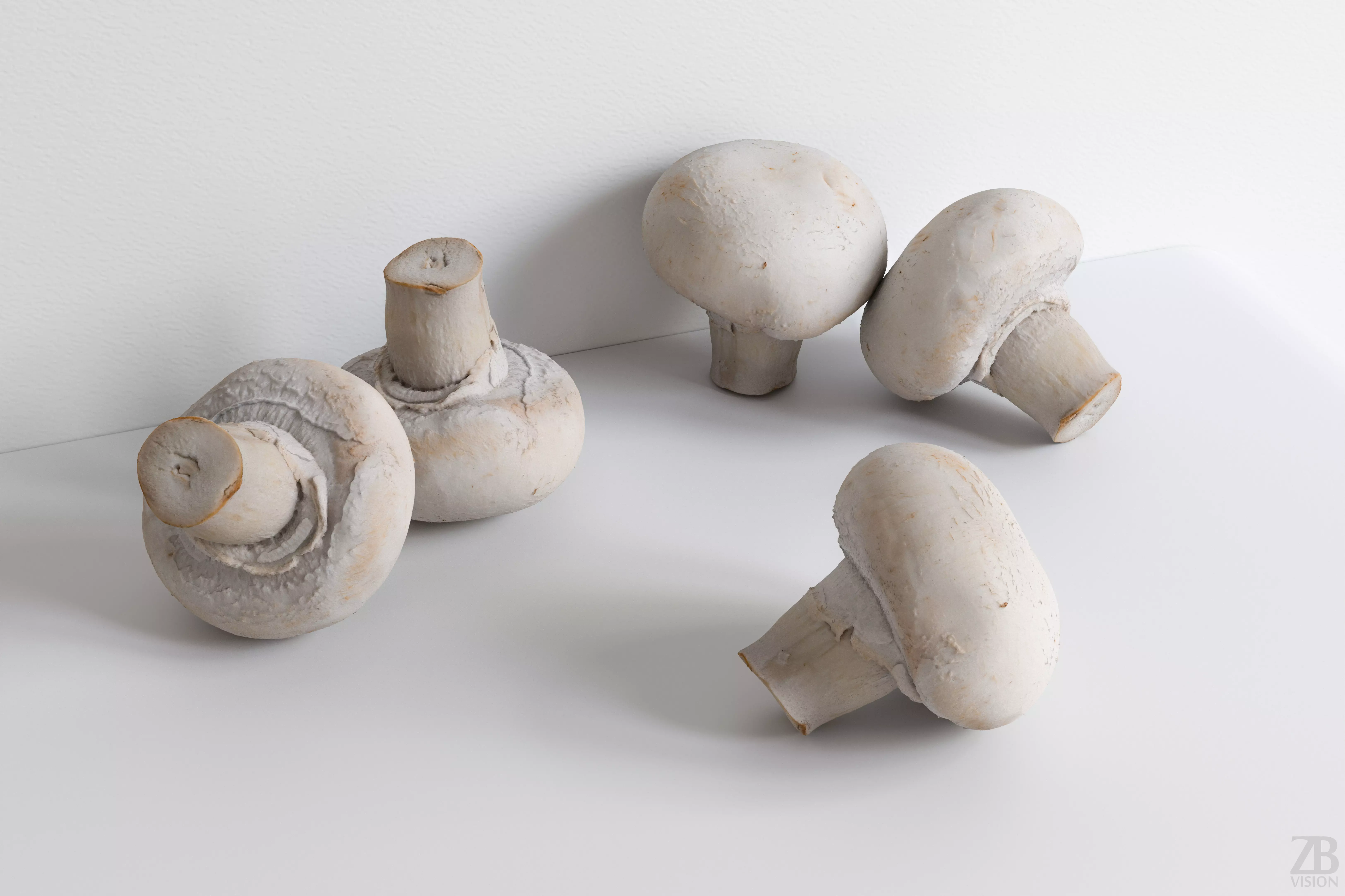 Mushroom 3D model_0