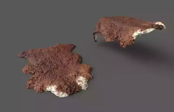Brown sheep skin pelt fur Low-poly 3D model