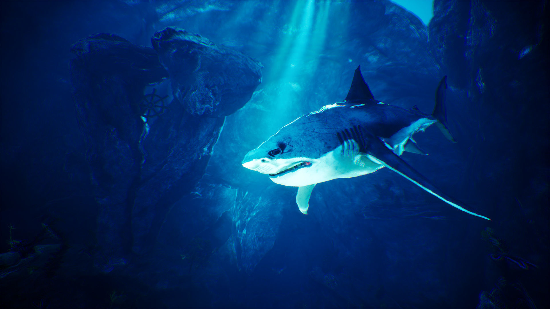 Underwater World  70 Assets Low-poly 3D model_11