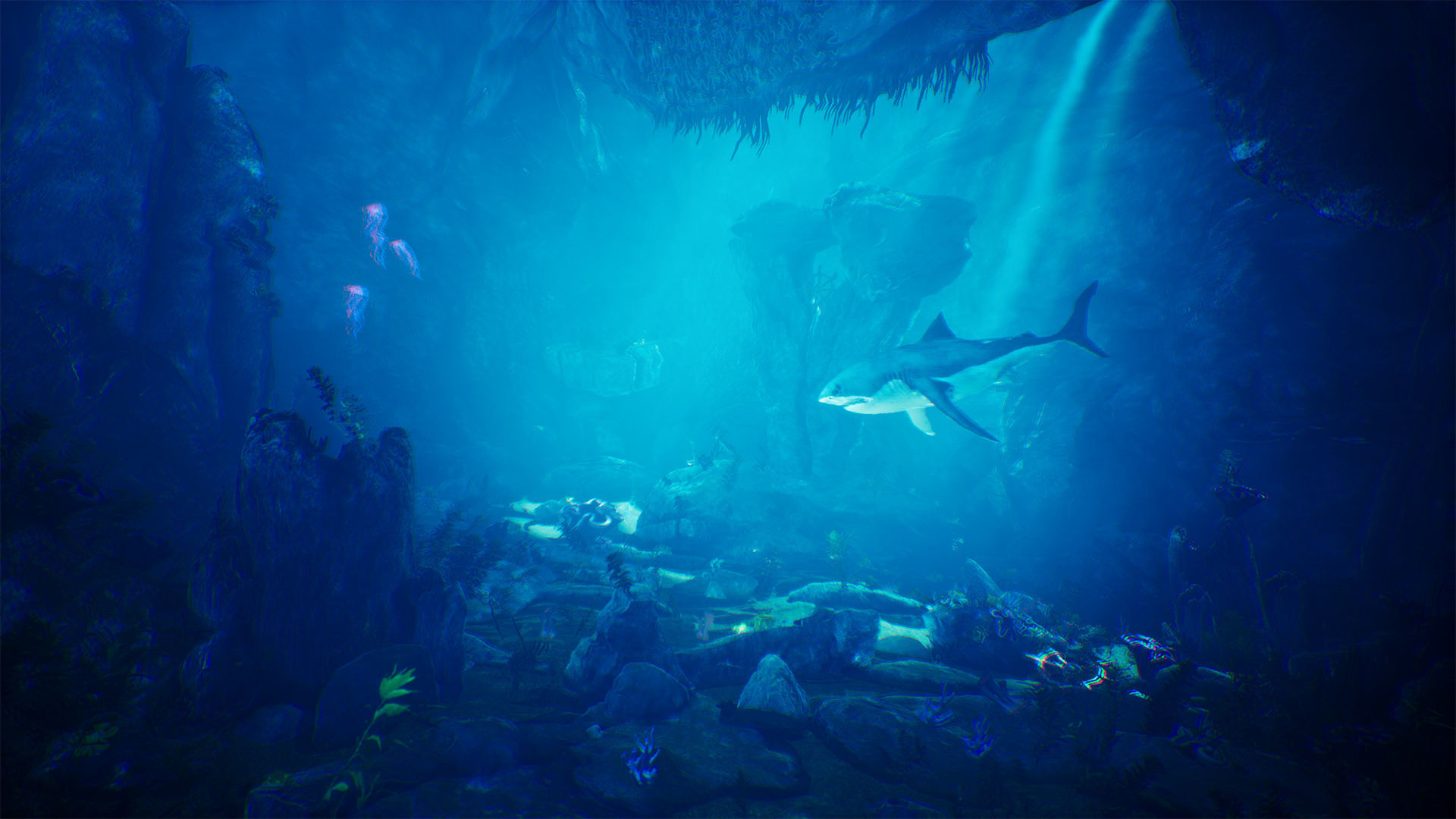 Underwater World  70 Assets Low-poly 3D model_13